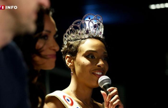 Angélique Angarni-Filopon presa di mira da “un'ondata di molestie”, la compagnia di Miss France intraprende un'azione legale