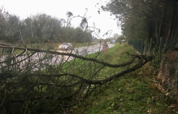 temporali e raffiche a 120 km/h questa domenica, vigilanza gialla attivata