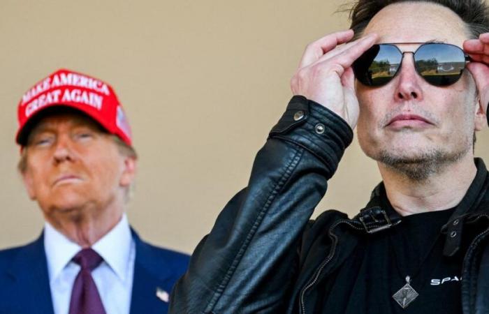 Elon Musk, futuro presidente degli Stati Uniti? “Non può”, dice Trump, invocando la Costituzione