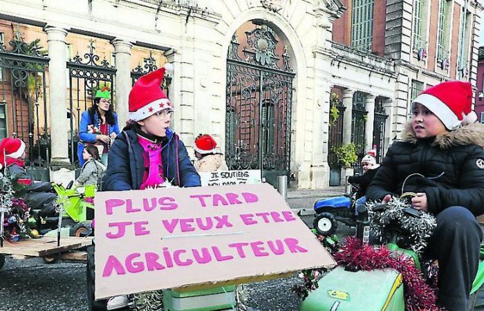 Una bonaria “minifestazione” sullo sfondo della crisi agricola a Montauban