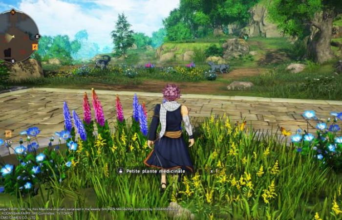 Fairy Tail 2: Un'ultima magia?! (PC, PS4, PS5, Switch)