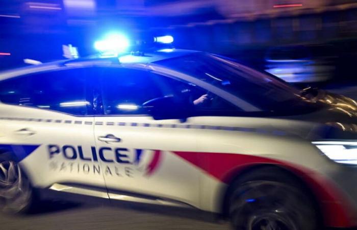 Metropoli di Lione. Droghe sintetiche e cannabis sequestrate nel quartiere Tonkin di Villeurbanne