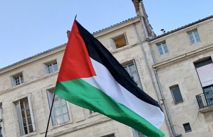 Michaël Delafosse annuncia un viaggio in Palestina