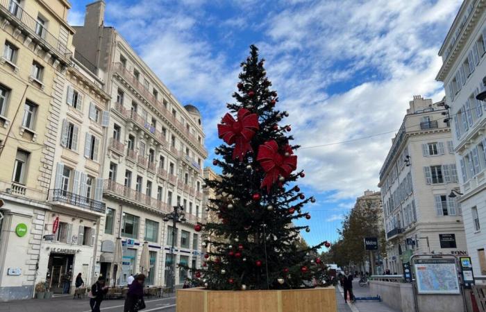 che tempo farà a Natale? Le previsioni di un esperto