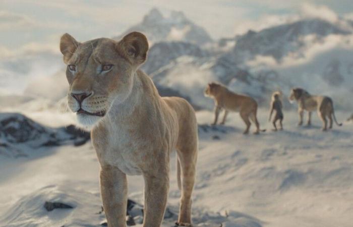 'Mufasa' delude al botteghino. Il Re Leone della Disney avrebbe dovuto spazzare via questo Natale, ma si schianta contro il Riccio di Sega