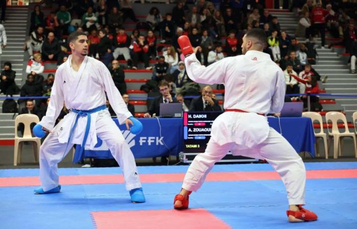 Coppa di Francia di Karate a Lille