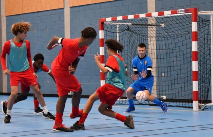 Blois Pro Futsal tra convivialità e competizione