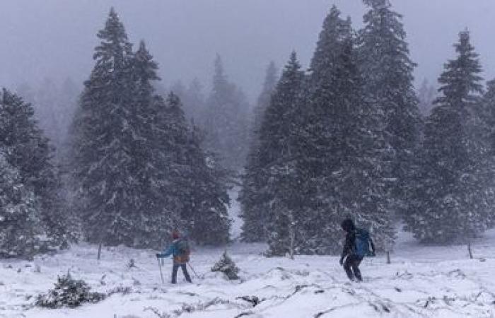 il dipartimento dell'Ain ha messo in allerta arancione neve e ghiaccio, sette dipartimenti in totale in allerta