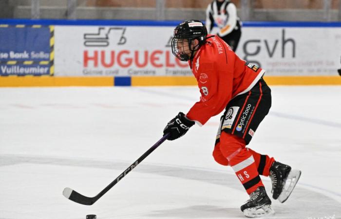 L'HC Delémont-Vallée chiude l'anno con una sconfitta