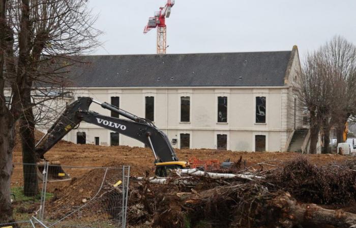 Nuovo quartiere, Malherbe fuori, auguri prima del tempo… le novità di domenica 22 dicembre a Caen