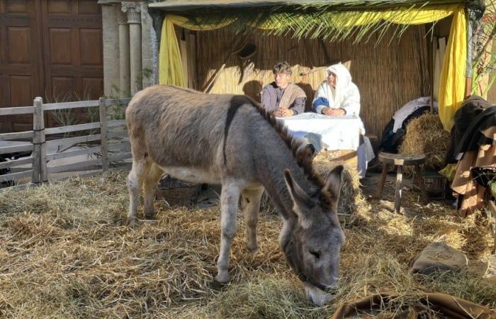 Il presepe vivente di Salon-de-Provence ritorna nel centro della città