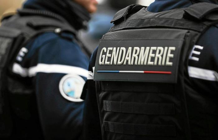 Uomo investito a morte da un'auto vicino a Rennes: appello a testimoniare lanciato dalla gendarmeria