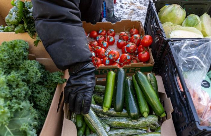 La domanda esplode nei banchi alimentari