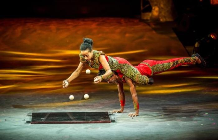 Vinci i tuoi biglietti per CirkAfrika allo zeni By The stars del Circo d'Etiopia