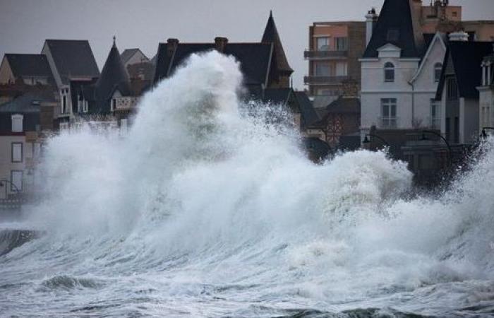 Adattare l’impresa al cambiamento climatico non è la priorità per la maggior parte dei dirigenti delle PMI