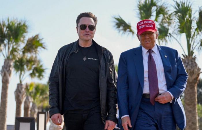 Stati Uniti: Elon Musk “non può essere” presidente, liquida Trump in risposta alle critiche del campo democratico