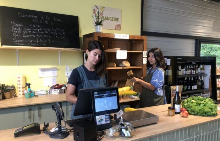 Informazioni sul tour | Birre, frutta e verdura… Un nuovo modo di consumare locale a Saint-Avertin