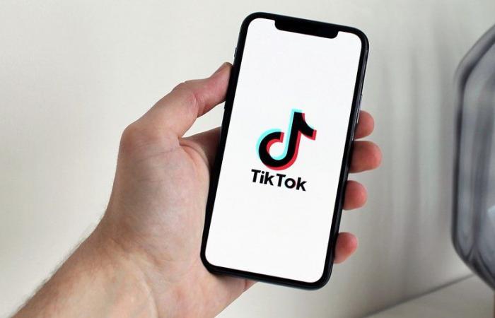 “TikTok è un delinquente che sparge sporcizia e fango”… L’app cinese bandita un anno in Albania dopo la morte di un adolescente di 14 anni