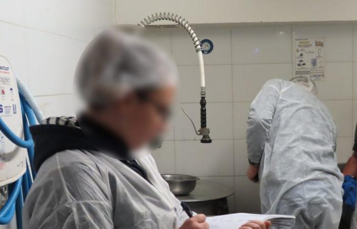 Il controllo sanitario in una pasticceria di Seine-Saint-Denis non lascia scelta agli ispettori