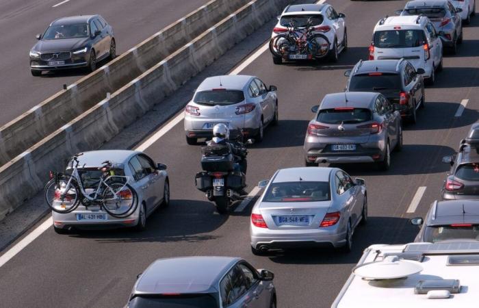 Interlinee vietate ai ciclisti a gennaio? Ecco cosa pensano (e cosa pensano gli automobilisti)