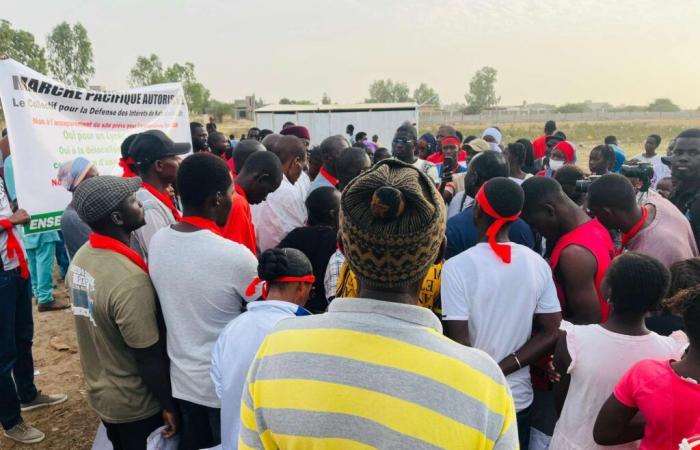 Contro l'installazione di una stazione, il collettivo della strada fa appello a Ousmane Sonko