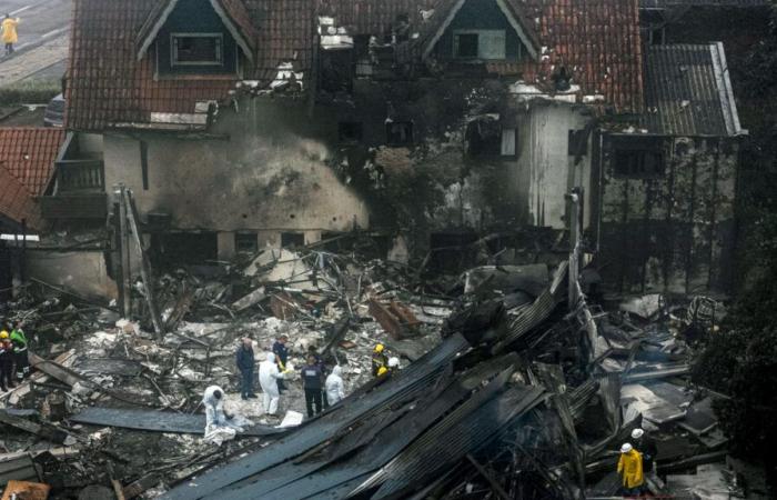 dieci membri della stessa famiglia muoiono quando il loro aereo precipita in una zona commerciale