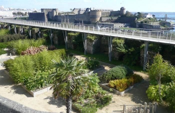 La Brest di… Pierre de Loor, insegnante-ricercatore di giorno, artista di notte