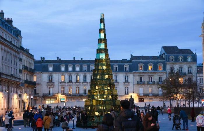 I municipi non sanno più a quale albero rivolgersi