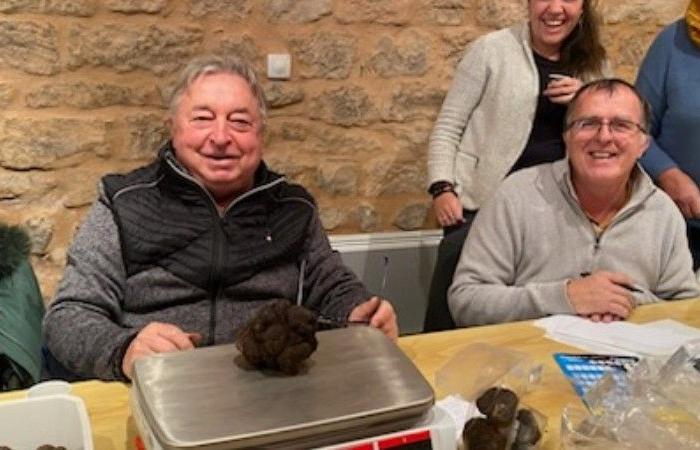 Aveyron. Conosciamo il prezzo di un chilo di tartufo a Comprégnac! [GALERIE PHOTOS]