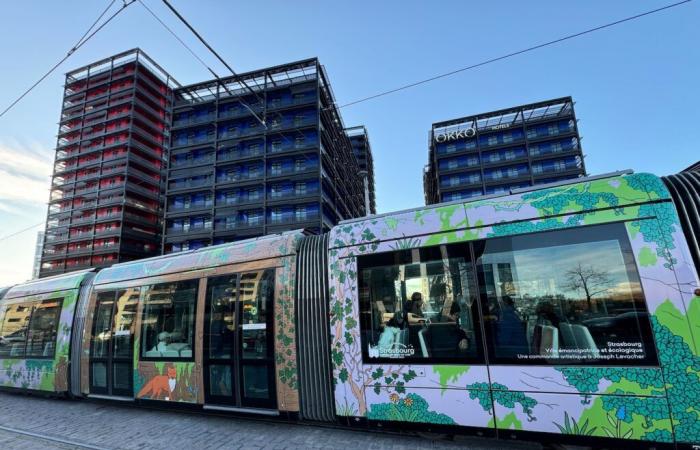 Il traffico di autobus e tram sarà interrotto a Natale e Capodanno