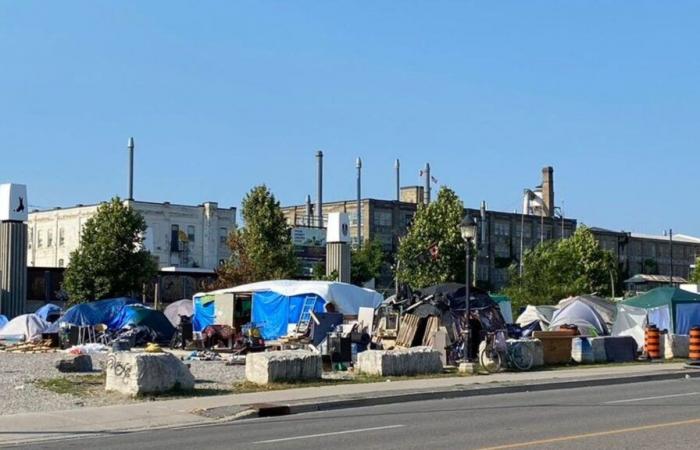 Le disuguaglianze di reddito e ricchezza raggiungono livelli record in Canada