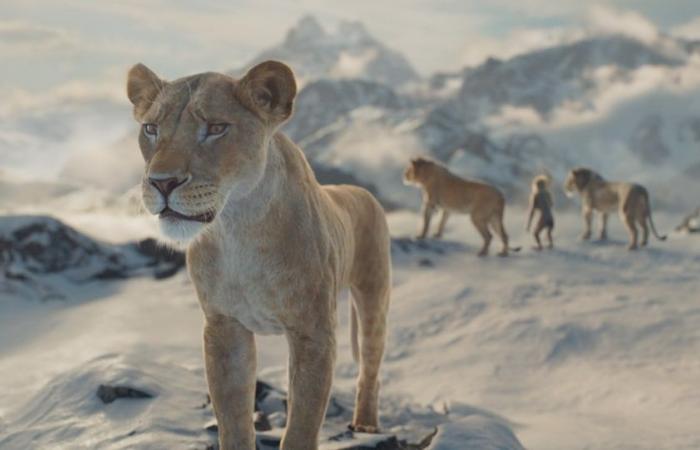 Mufasa – Il re leone supera i 2,5M – Il box office di sabato 21 dicembre