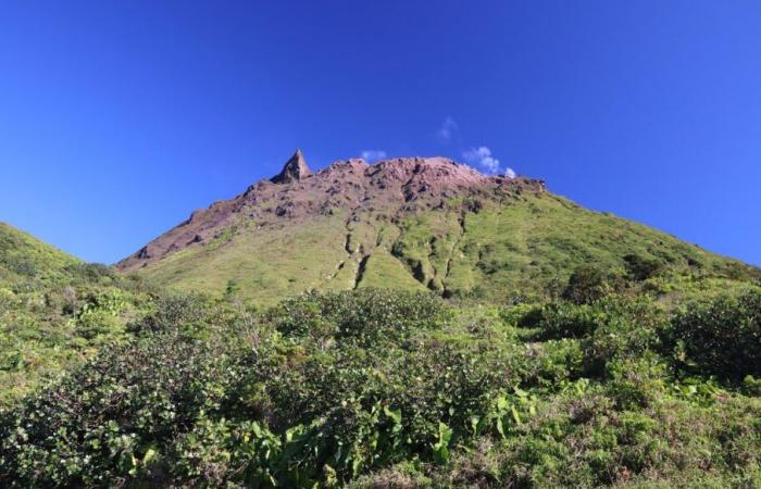 Le viscere del vulcano Soufrière in Guadalupa mappate in 3D