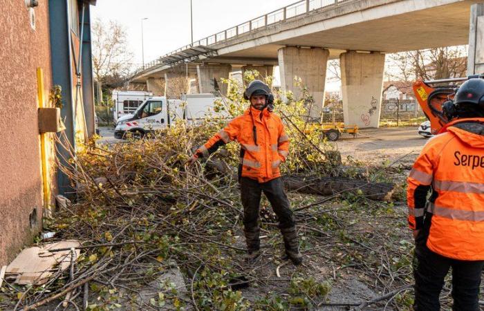 Tempesta Enol – Cade un albero seriale a Perpignan: muore un uomo, ferita lievemente una donna