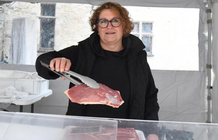 Dordogna: Place Saint-Louis a Périgueux, un villaggio di sapori con il mercato dell'erba