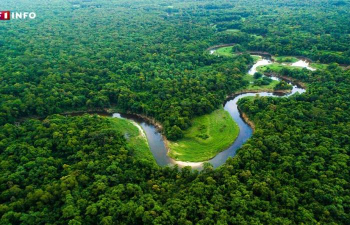 Brasile: rivelate immagini inedite di una comunità indigena isolata in Amazzonia