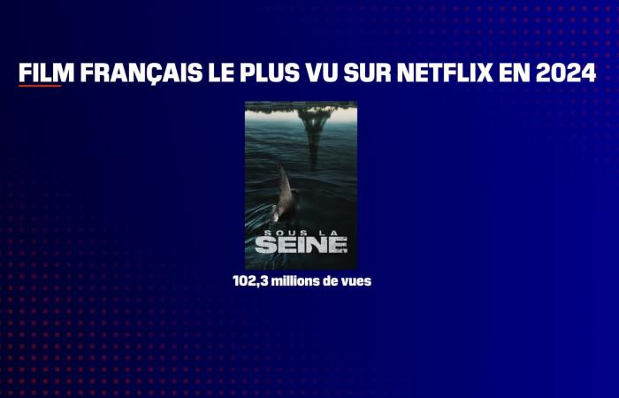 Per la prima volta dal 2014, il più grande successo cinematografico dell'anno è francese