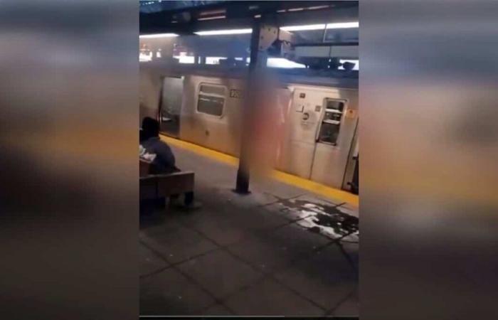 Donna bruciata viva nella metropolitana di New York: arrestato l'uomo