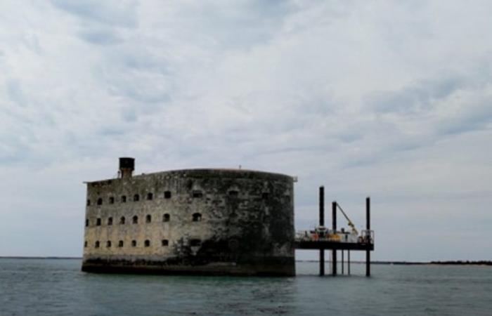 aiuto per attirare medici • La Rochelle info