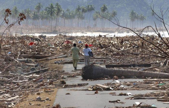 20 anni fa, un’ondata di generosità senza precedenti dopo lo tsunami