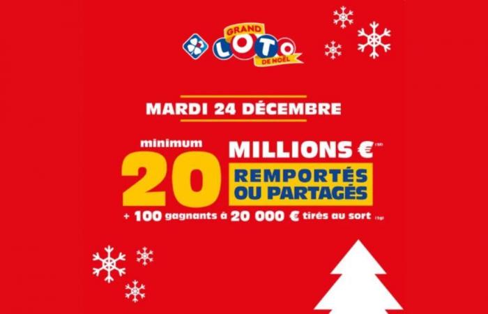 Prova a vincere 20 milioni di euro per il FDJ Christmas LOTO® Grand!