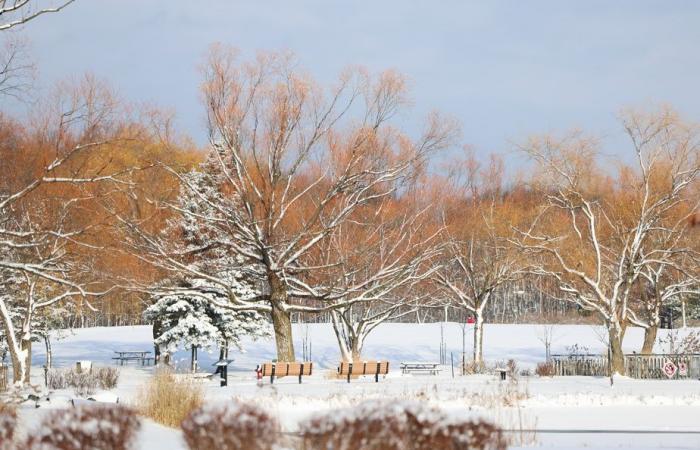 Entro martedì mattina | In Quebec sono previsti dai 10 ai 15 cm di neve