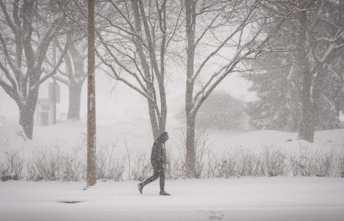 Tappeto bianco a Natale: tra 10 e 15 centimetri di neve nel sud del Quebec