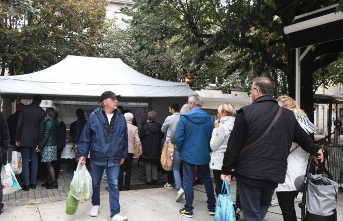 Dordogna: Place Saint-Louis a Périgueux, un villaggio di sapori con il mercato dell'erba