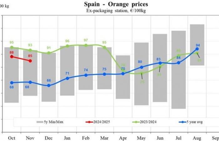 I prezzi delle arance oscillano, con un calo del 41% in Grecia e un aumento del 9% in Italia nel novembre 2024.