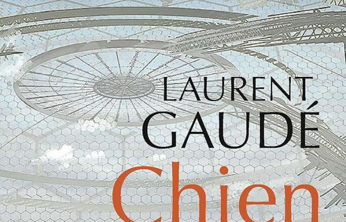 Questi libri da divorare prima di scoprire il loro adattamento cinematografico nel 2025