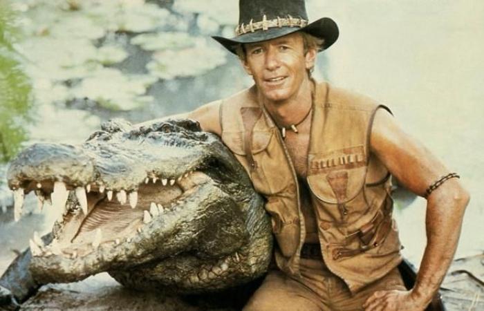 È morto il coccodrillo Burt, icona del film “Crocodile Dundee”.