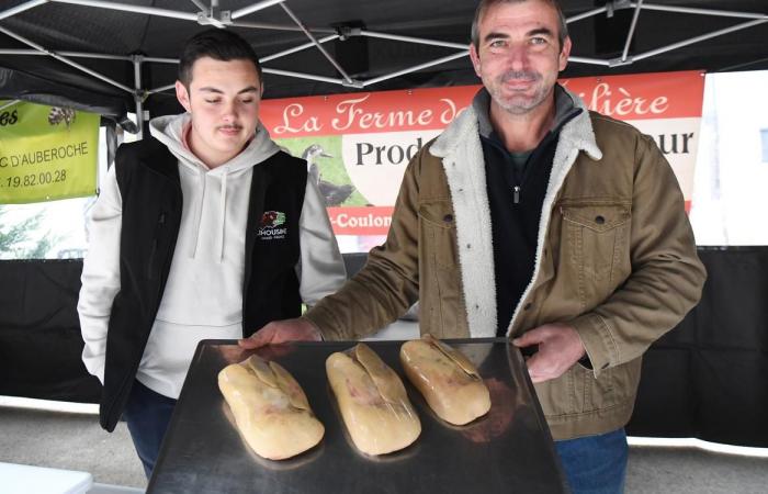 Dordogna: Place Saint-Louis a Périgueux, un villaggio di sapori con il mercato dell'erba