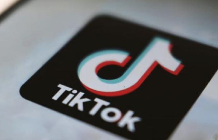 Albania blocca TikTok per un anno