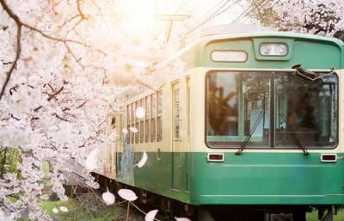 I nostri consigli per scoprire Kyoto